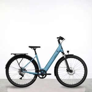 Vélo électrique Tenways CGO800S Plus