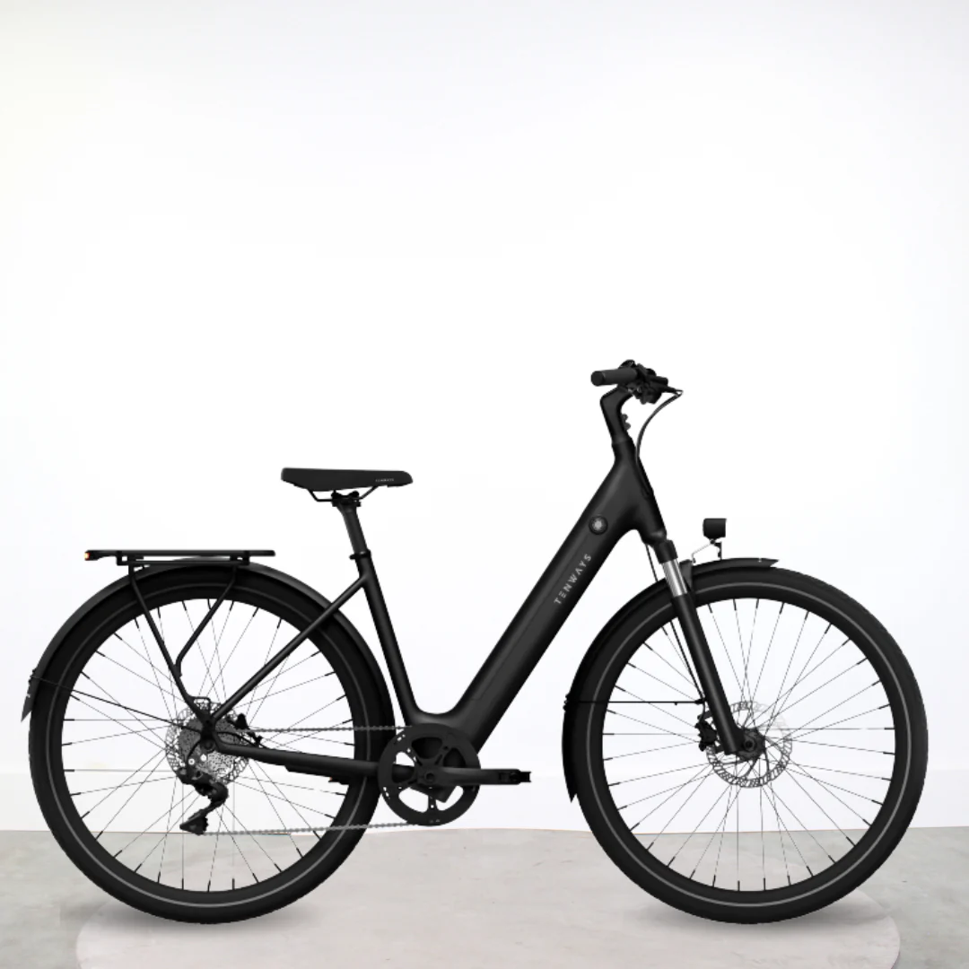 Vélo électrique Tenways CGO800S Plus – Image 2