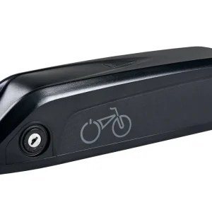 Battery1_1000x_252c684b-ea74-4370-80eb-c91fd6a388bf.webpv1712913898 Batterie occasion Radrunner / radwagon