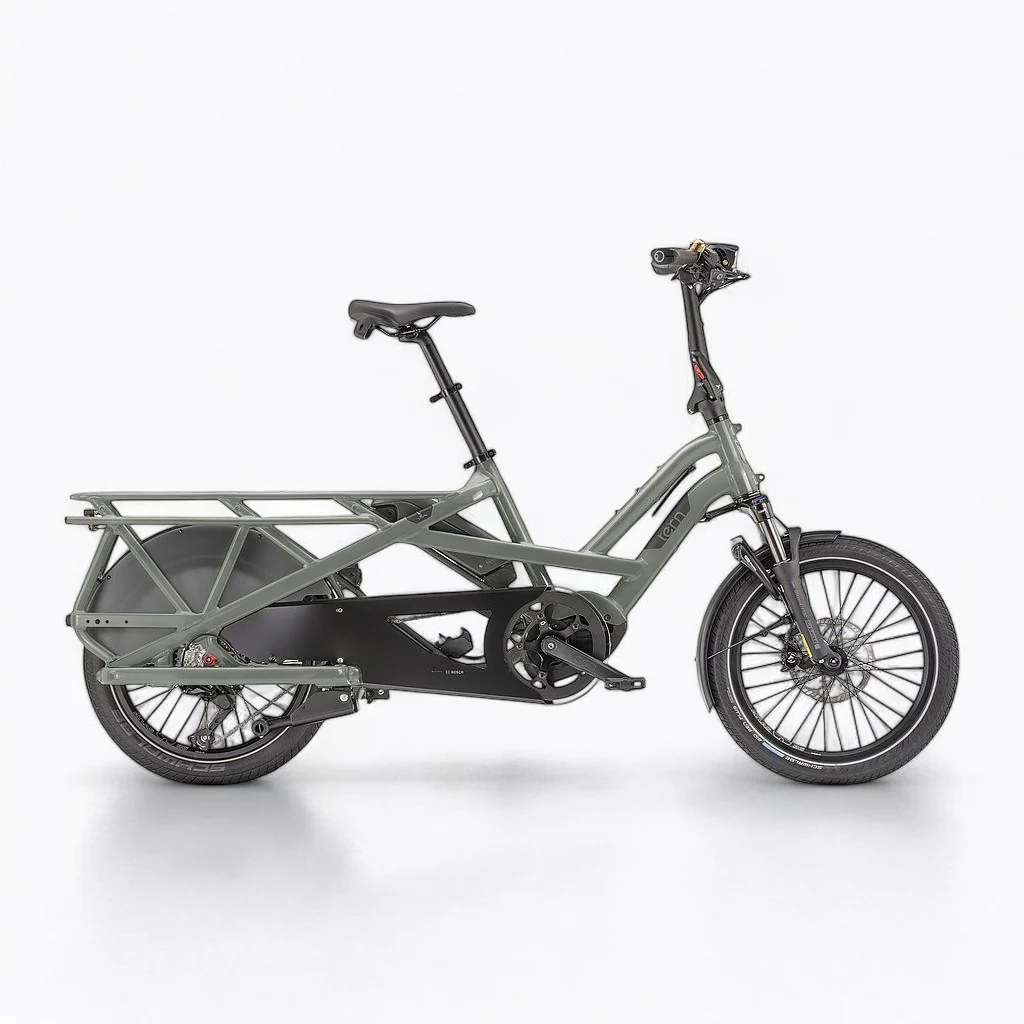 Vélo longtail électrique Tern GSD S10 gris (équipé)