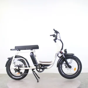 Cargo électrique Elwing Ritmic Duo