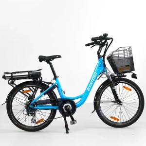 IMG_2370-Photoroom-Photoroom.jpgv1716292911 Vélo électrique E-Vision Alegria 24