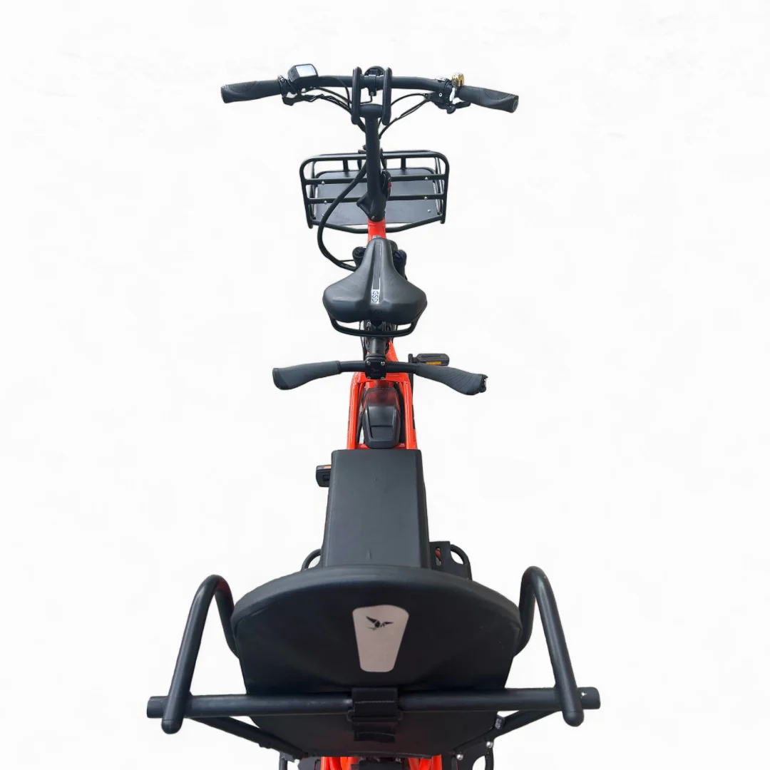 Vélo longtail électrique Tern GSD S10 LR (équipé + dual battery) – Image 7