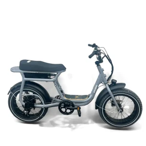 IMG_5494-Photoroom.jpgv1730369742 Vélo électrique Elwing Yuvy 1