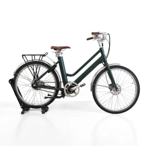 IMG_6153-Photoroom.jpgv1740593834 Vélo électrique Voltaire Courcelles vert