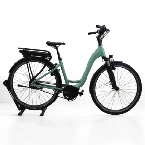 Vélo électrique Riese Müller - Swing 3 Vario