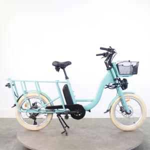 IMG_6720.jpgv1766416774 Vélo cargo électrique Gaya Cargo