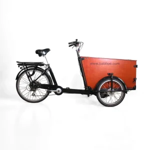Cargo électrique Babboe Pro Trike-E