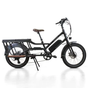 IMG_8522-Photoroom.jpgv1745414413 Longtail électrique Rad Power Bikes radwagon 4