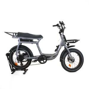 Cargo électrique Elwing Yuvy 1