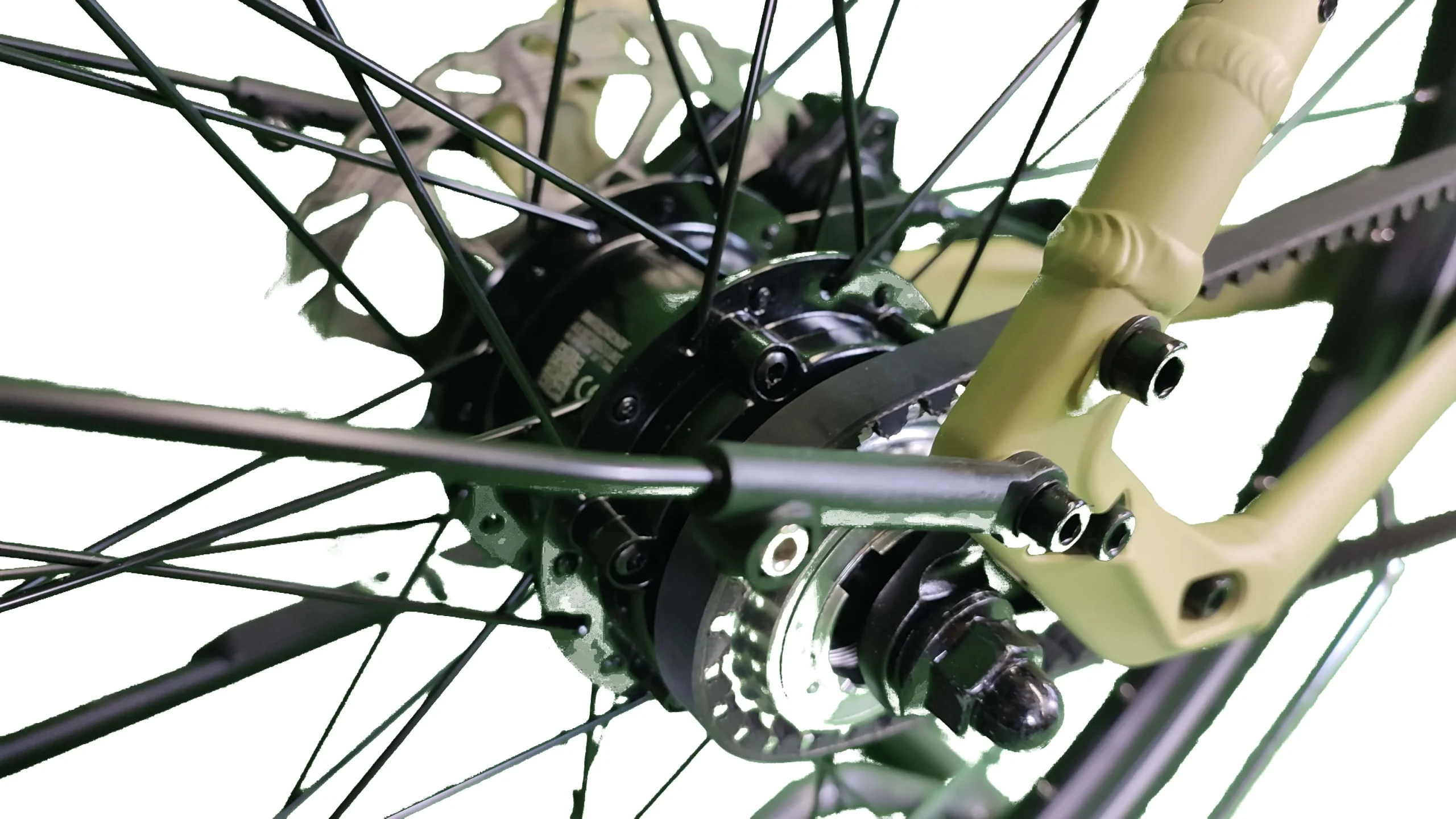 Ibiza Dogma - Blanc – Image 6