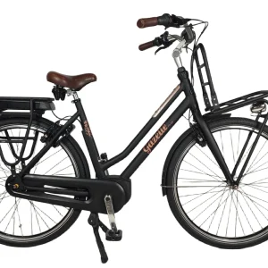 bria_94c4c3336e3d91cb.pngv1733394482 Miss Grace C7 plus HMB Platin