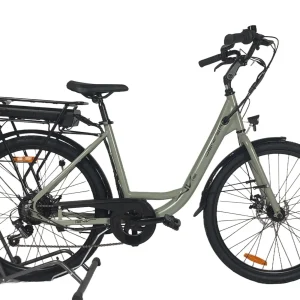 bria_95c4c2738c1f93ea.pngv1724316216 E-4000 Plus