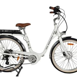 bria_d23b2dc472cf4d30.pngv1724233480 eLC01 e-Legend 26C