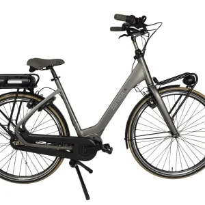 bria_d4c6a2730d5d93c9.pngv1727690562 E-Common Family Wave