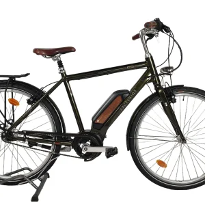 bria_d5c48a730e1fb3c2.pngv1729601144 Vintage-E