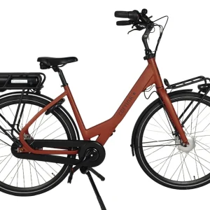 bria_d5c4c2770e3d92c3.pngv1727099768 E-common