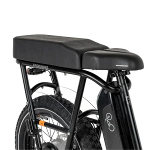 radrunner-2-passengers-pack-114262.pngv1708095113 RadRunner 2 Passengers Pack