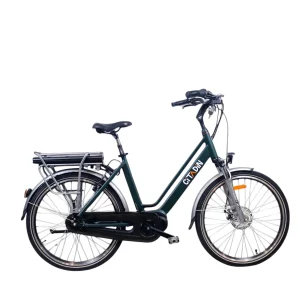 Vélo électrique Virage Citadins vert