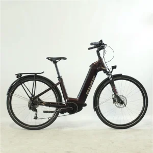 Vélo électrique Bergamont E-Horizon bordeau